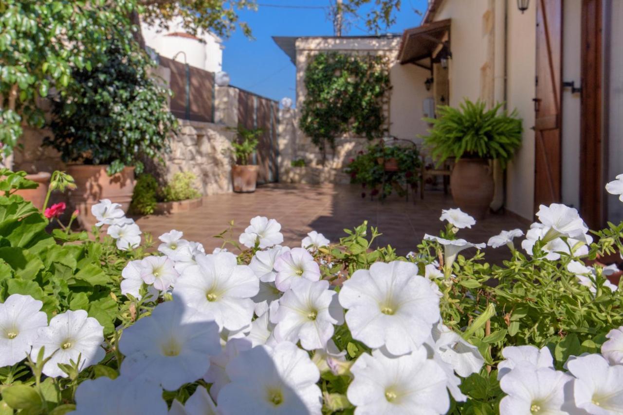 Nohia Alia Stone Villa-Ideal For Families-Heated Pool מראה חיצוני תמונה
